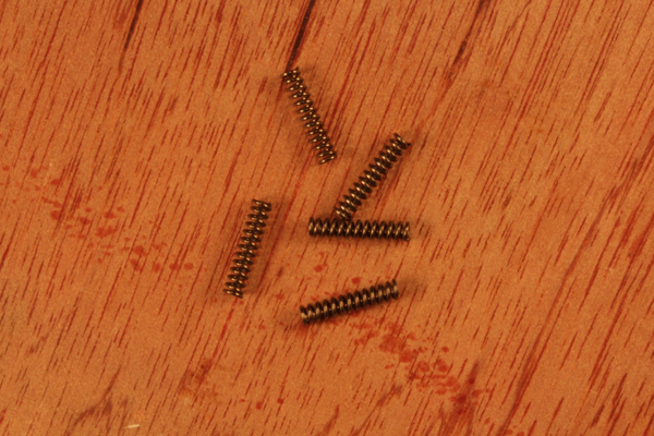 CZ Thumb Safeety Springs